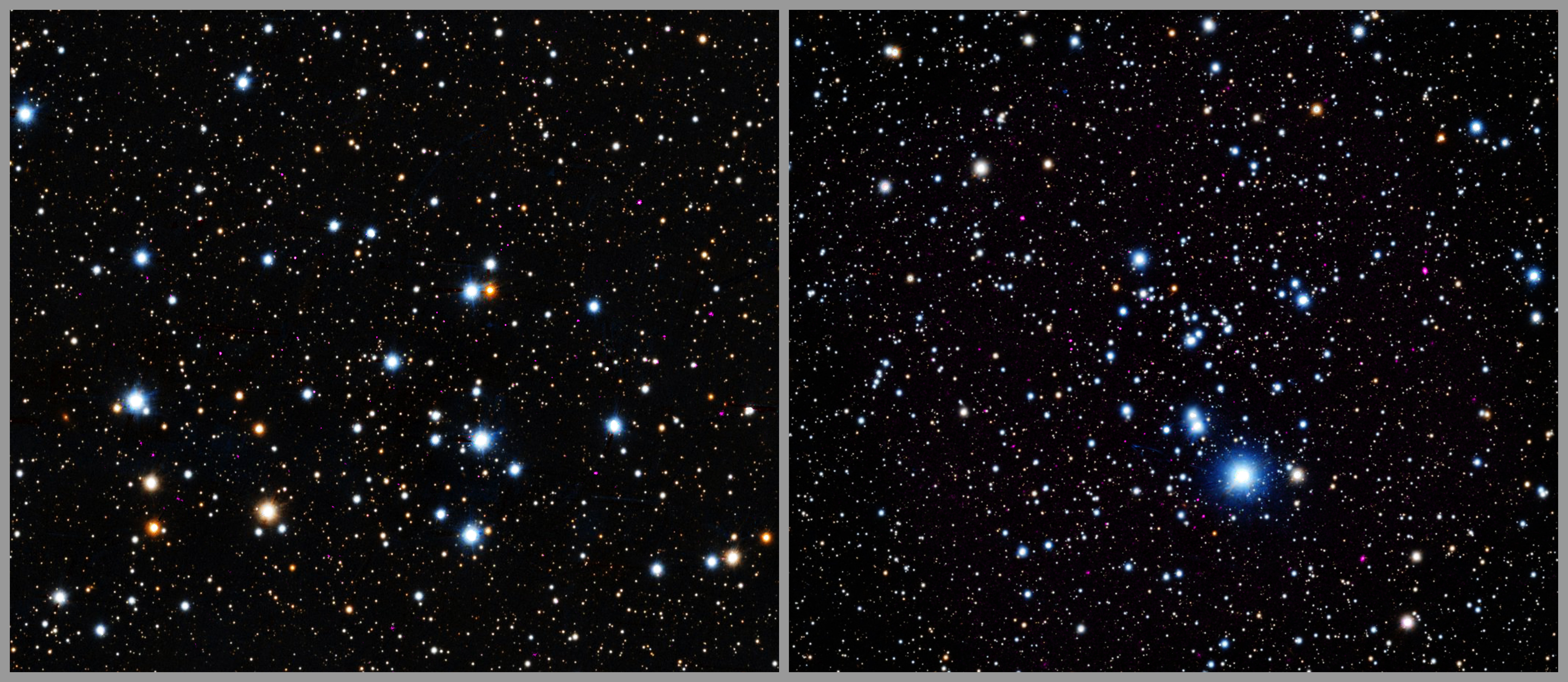 Young Star X-ray Evolution :: April 14, 2026 photography by guiiu on Glass Gallery