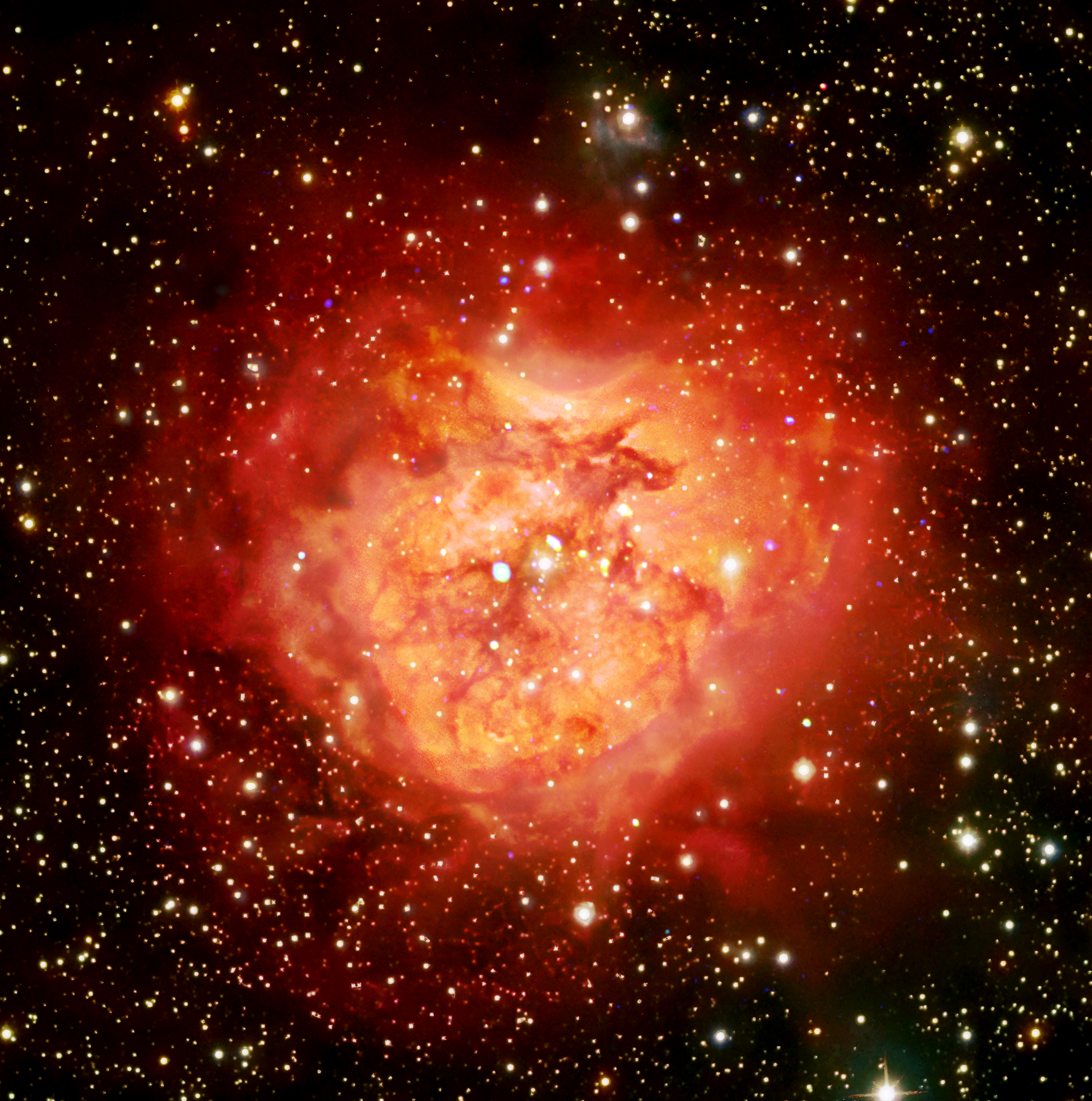 IC 5146 :: February 12, 2026 by guiiu